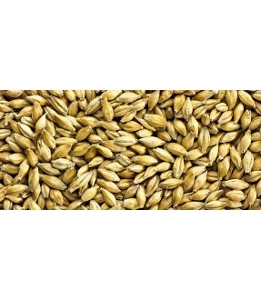 Malt Chnouff Munich 15-20 EBC